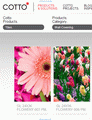 Cotto Ceramic Tile Collection